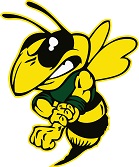 Yellow Jacket Yellow Jacket